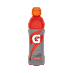 Gatorade Fruit Punch 