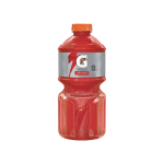 Gatorade Fruit Punch 