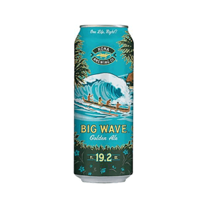 Kona Big Wave 19Oz Cn